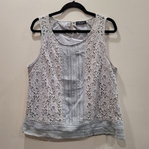 Eden Society Gray Stitch Fix Sleeveless Lined Violie Lace Overlay Blouse - XL
